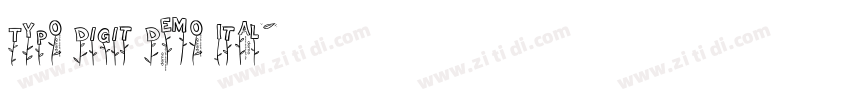 Typo Digit Demo Ital字体转换